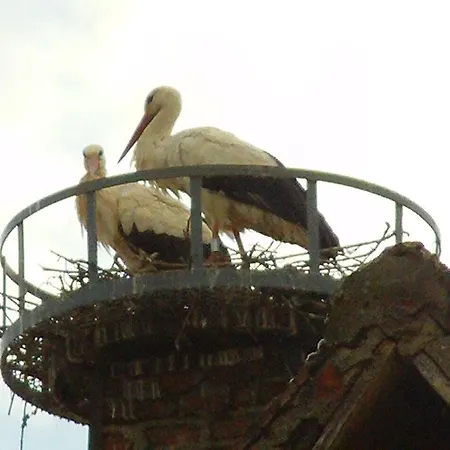 Du Vignoble Beblenheim