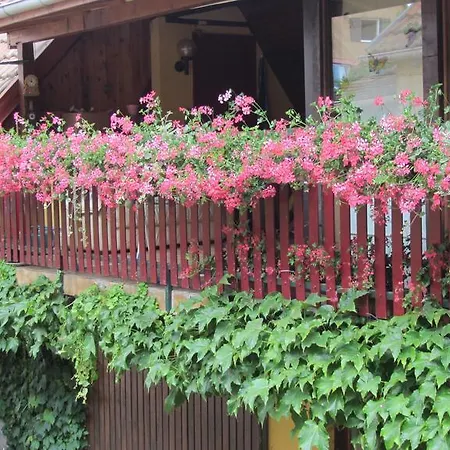 Du Vignoble * 베블렌하임