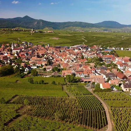 Du Vignoble